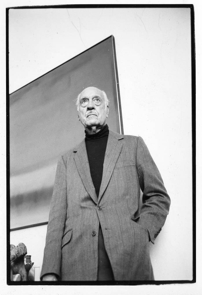 Esteban Vicente, Painter.Photograph by Meg Handler